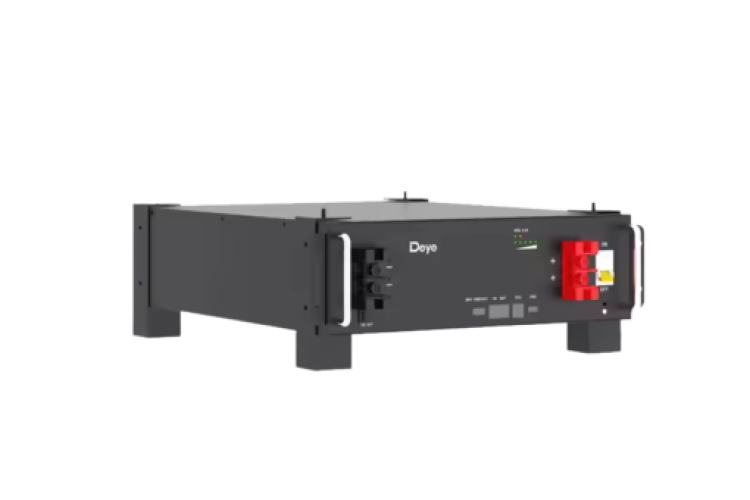 Pin lưu trữ lithium Deye 51.2V 100AH – SE-G5.1